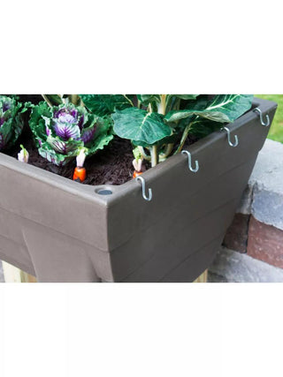  || https://assets.gardeners.com/transform/dd52daa2-5c16-4b71-aeb3-4e8a6b946915/8612916_04V