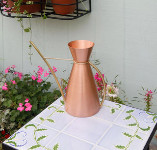  || https://assets.gardeners.com/transform/88b9b843-1636-484f-90b1-aee21f662539/8612920_03V-jpg