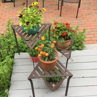  || https://assets.gardeners.com/transform/7b0c1e61-b074-4c4b-8438-7f721a97eaf4/8612922_03V-jpg