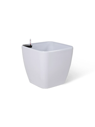  || https://assets.gardeners.com/transform/59def920-2844-4558-84e5-f42ff3d79d6c/8612930_0106