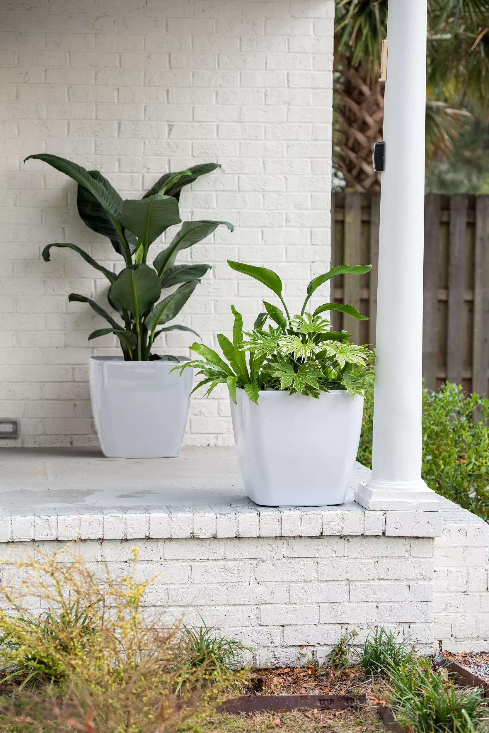 self watering white planter Viva Square Self-Watering Rolling Planter 20" Set of 2
