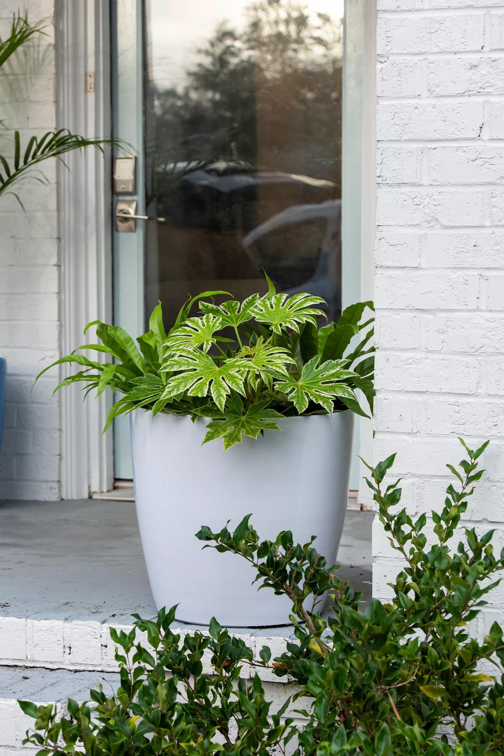 viva self watering planter Viva™ Round Self-Watering Rolling Planter, 20" Diameter, Set of 2