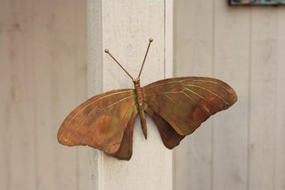  || https://assets.gardeners.com/transform/679c117e-10b7-4792-adff-5a48022565d1/8612951_01V-tif