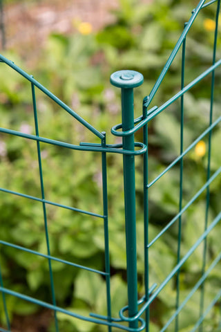  || https://assets.gardeners.com/transform/b761a0c1-81d4-4d21-a0ea-b291b708e668/8612967_0067-tif