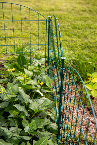  || https://assets.gardeners.com/transform/54c1dcf4-360a-464b-bc54-1a6246886918/8612967_0070-tif