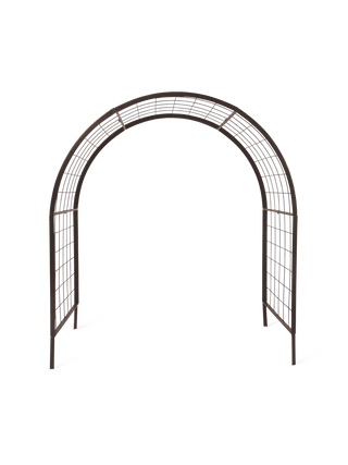  || https://assets.gardeners.com/transform/3067550e-e445-45a6-b43b-19053488ed9f/8612976_0010
