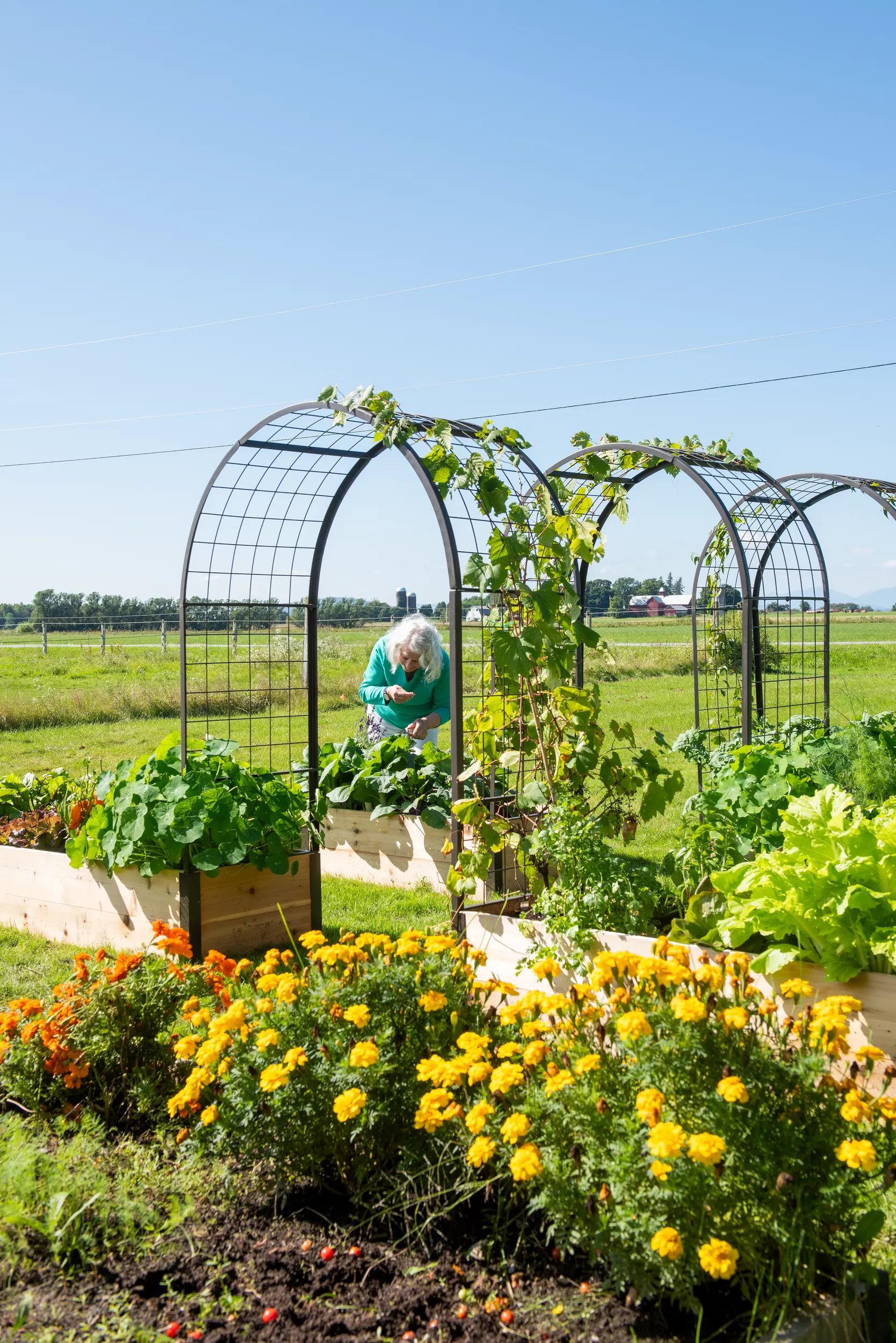 hoop trellis for plants 4' Arch Kit for Lifetime™ Corners