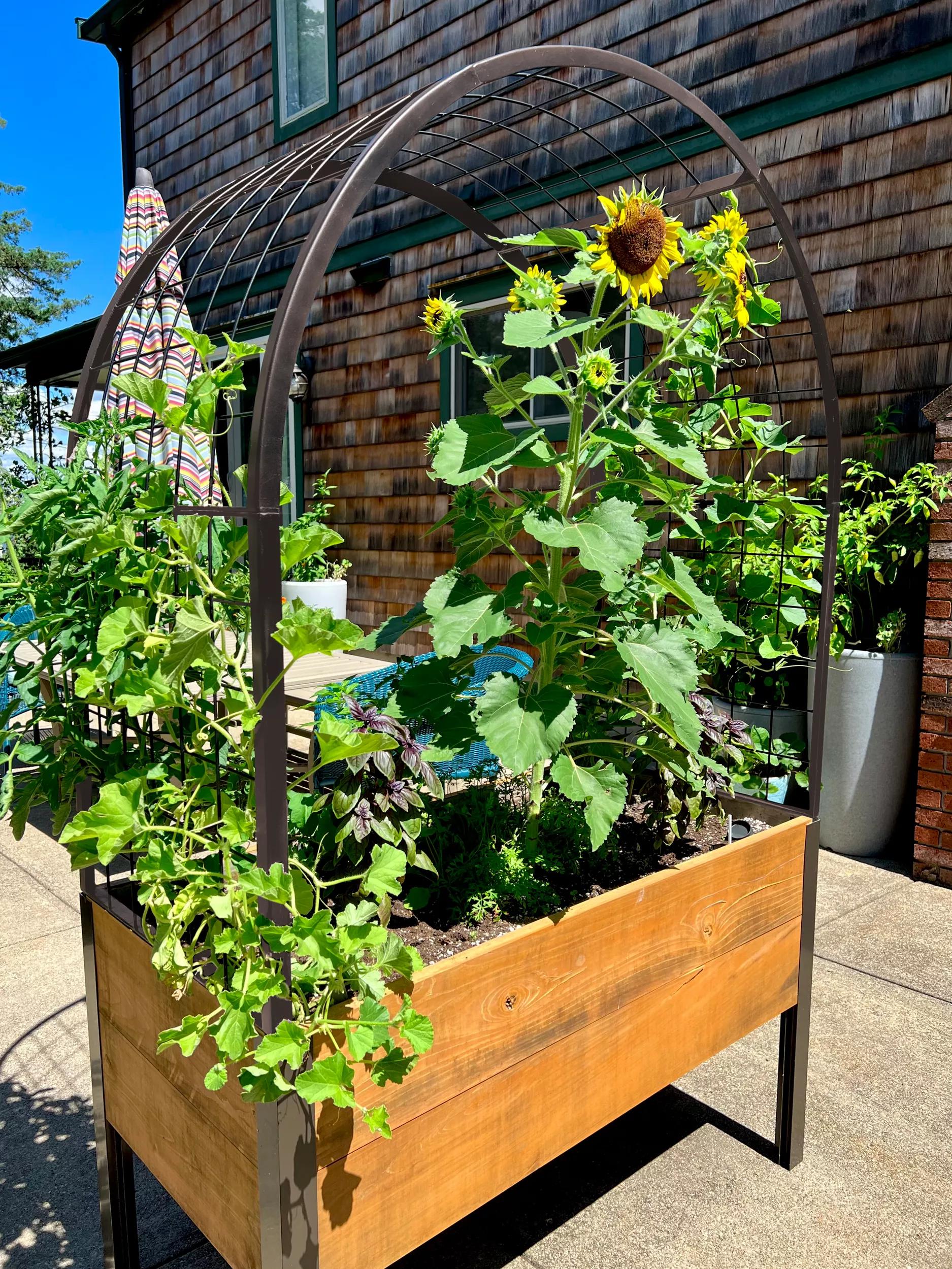 self-watering elevated garden planter Self-Watering Elevated Cedar Planter Box 2x4