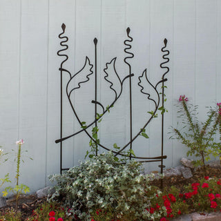  || https://assets.gardeners.com/transform/f0ed41f0-3a54-41a7-a45d-6dde0f2eae6b/8612991_05V-jpg