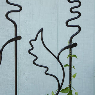  || https://assets.gardeners.com/transform/b8d13bfe-2644-4853-ac4a-1233f0d2d3bd/8612991_06V-jpg