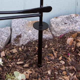  || https://assets.gardeners.com/transform/960459e3-0fbb-4562-a901-62024dda289b/8612991_07V-jpg