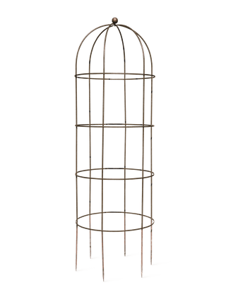  || https://assets.gardeners.com/transform/8b39cdc4-8009-430e-ad1f-1abe956923f1/8612997_0121