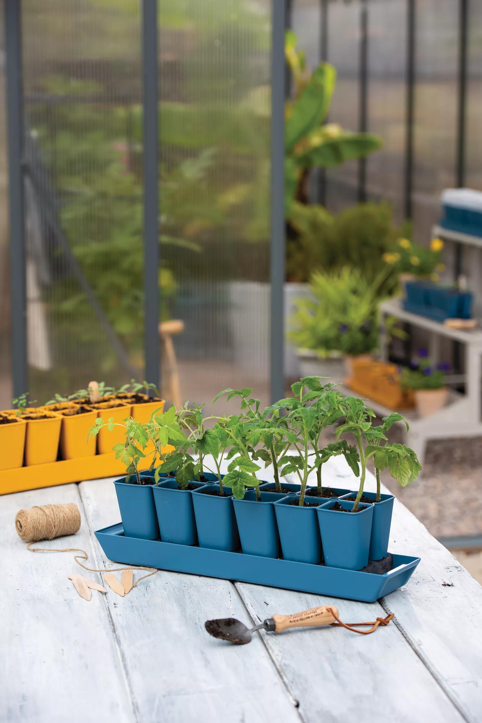best seed planter Gardener's Best® XL Seed Starting Kit