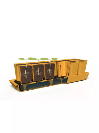  || https://assets.gardeners.com/transform/49bcee86-3496-4973-8694-f8aaf0736907/8613066_crosssection_3-4