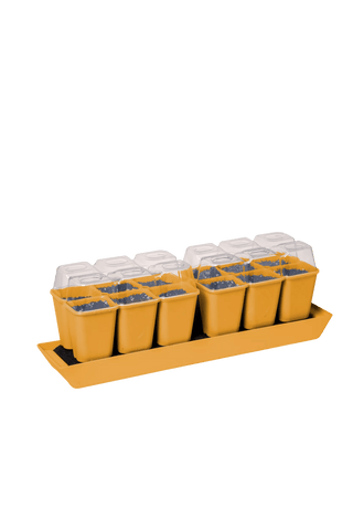  || https://assets.gardeners.com/transform/fd880234-23bd-498b-a637-e50012cf3ad9/8613067_5879-tif