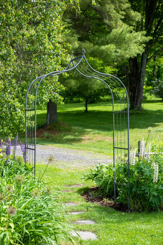  || https://assets.gardeners.com/transform/ddfd2111-23bd-47f5-95f6-c384153c20e5/8613142_0047
