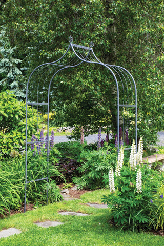  || https://assets.gardeners.com/transform/850c5f72-8e35-43c5-94cc-45fab658f034/8613142_0053_ariana-arch