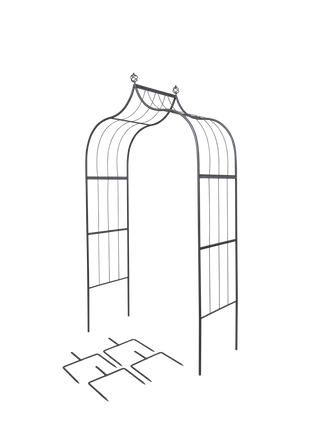  || https://assets.gardeners.com/transform/4289f353-fe4a-468e-8f7a-0525f6aba3ae/8613142_04617