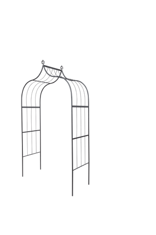  || https://assets.gardeners.com/transform/2f3e2c6c-c790-4b60-961f-5cfadc68abc3/8613142_4617