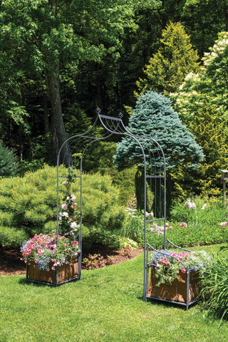  || https://assets.gardeners.com/transform/bed5af7a-a203-42b4-b3d9-f831421fe2f9/8613142_9437