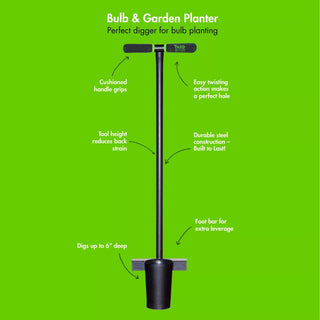  || https://assets.gardeners.com/transform/6df52c44-95d8-48a9-9f57-b2b89709c248/8613157_03V-tif