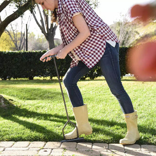  || https://assets.gardeners.com/transform/45df604e-35f0-4447-93ad-53b100efc545/8613159_03V-tif