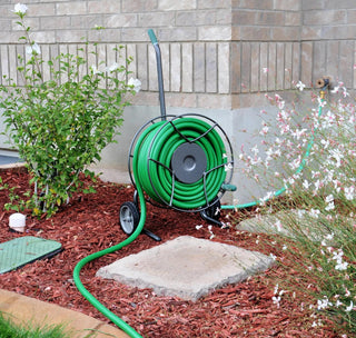  || https://assets.gardeners.com/transform/1214133a-4ed9-453f-8614-967680ff1ecd/8613165_01V-tif