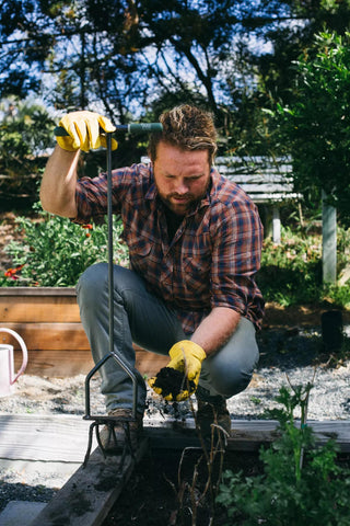  || https://assets.gardeners.com/transform/a905ed80-d02e-4809-ba6a-0a5562dcf1e5/8613177_01V-tif