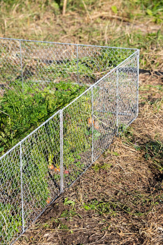  || https://assets.gardeners.com/transform/d07dcd32-014a-4a31-91e5-51fd44fad20f/8613249_0368_chicken-wire-critter-fence-16-inches-high