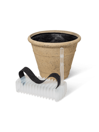  || https://assets.gardeners.com/transform/8763cd7f-a669-448d-8f19-231c036e16ae/8613255_4200