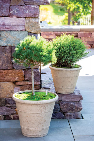 || https://assets.gardeners.com/transform/1380f010-9c2b-4a2e-84ae-7448fd13353b/8613256_0124_self-watering-lavastone-anson-pot