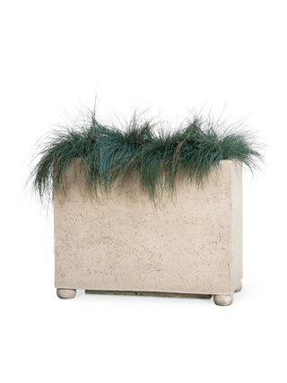  || https://assets.gardeners.com/transform/9725bd1d-481d-4224-b987-8ff4de0218cd/8613257_0167
