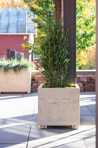  || https://assets.gardeners.com/transform/b915e593-7a73-4ff4-b799-2b81c4e75432/8613258_0161_self-watering-lavastone-modern-square