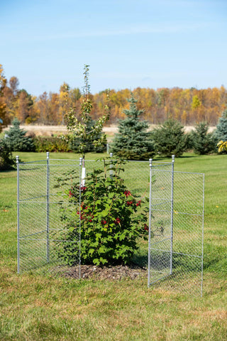  || https://assets.gardeners.com/transform/6ebce956-ad63-479f-b311-a353ae60c492/8613260_0036
