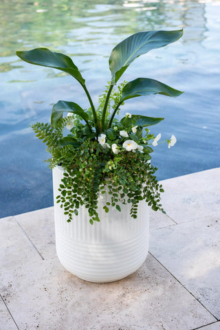  || https://assets.gardeners.com/transform/c7e1c68a-9cf2-4000-a14c-51e144c8dbd6/8613267_0112_arden-round-planter