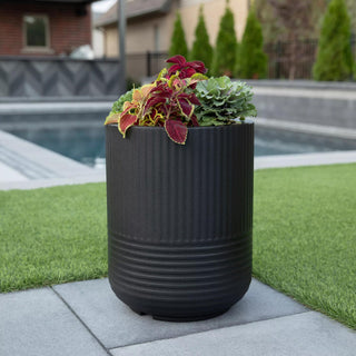  || https://assets.gardeners.com/transform/43335a87-8e54-4d70-8178-ff9639178c5a/8613267_02V-tif
