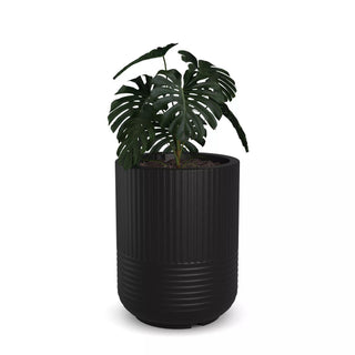  || https://assets.gardeners.com/transform/aee77dbd-2f16-4e4d-9895-7fbc0ac3ebd9/8613267_03V-tif