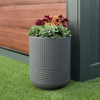  || https://assets.gardeners.com/transform/68515da4-8487-4b21-91ca-0a52814c5bdb/8613267_07V-tif