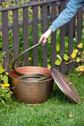  || https://assets.gardeners.com/transform/ccdaa284-9754-45d5-80d1-f7db51120995/8613311_0012
