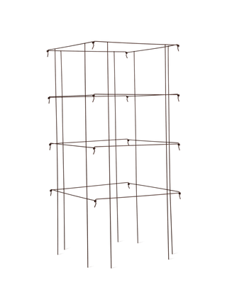  || https://assets.gardeners.com/transform/62dcaddc-04eb-4b2a-9674-cd4f8de2d959/8613314_7352