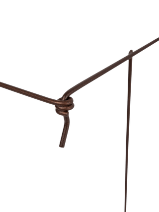  || https://assets.gardeners.com/transform/d3ee6438-c4d8-4bde-b108-270598b147b3/8613314_7357