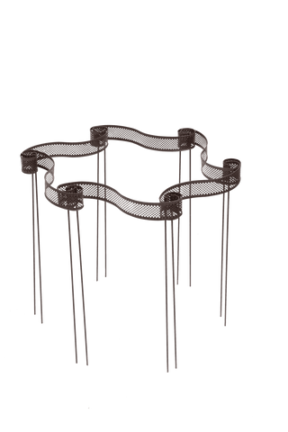  || https://assets.gardeners.com/transform/63f23aaa-75cb-4f5b-a5c5-4a47fa186cbd/8613321_6997