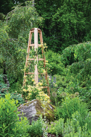  || https://assets.gardeners.com/transform/e3dc4e28-8769-4641-95ed-778e6bb4998b/8613322_0204