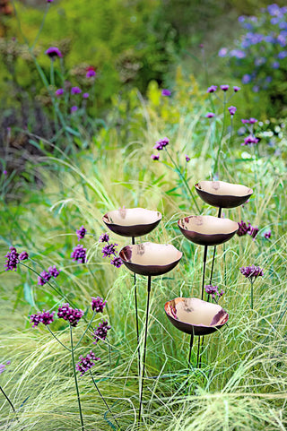  || https://assets.gardeners.com/transform/a0d22ea9-04ce-4b84-ae69-10db3b28a3f7/8613342_4376_copper-poppy-sways-set-of-5