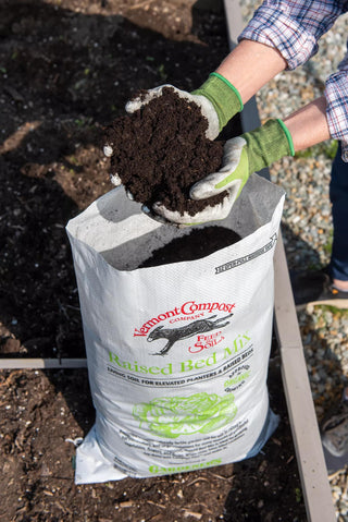 || https://assets.gardeners.com/transform/fb1ef773-bdac-4d86-b452-b56dad74d076/8613368_0514