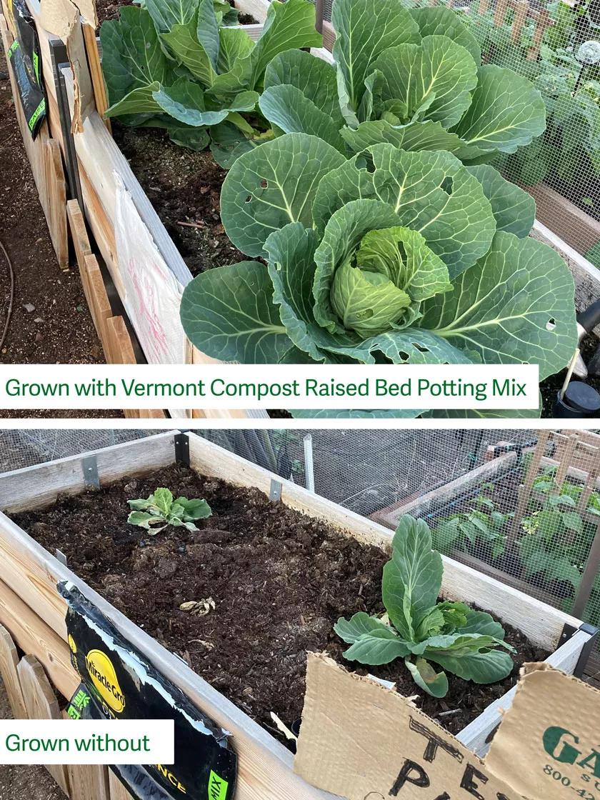 vermont organics potting mix Organic Raised Bed Potting Mix, 20 Quart