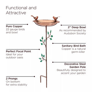  || https://assets.gardeners.com/transform/d09f877d-023c-46cc-94f2-8bbc033a2c2b/8613379_07V