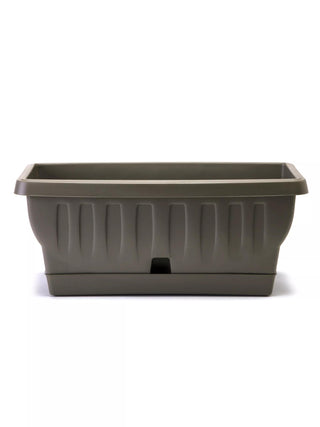  || https://assets.gardeners.com/transform/04c8faf5-b6b9-470a-8f3a-cab01a620e7d/8613393_02V