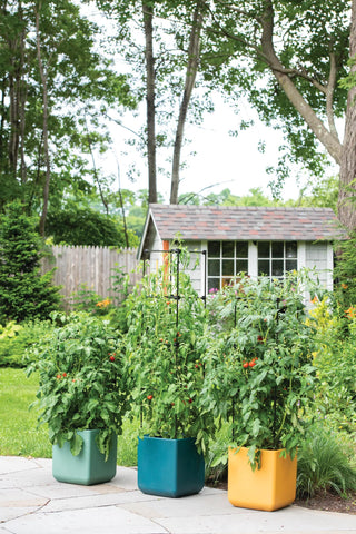  || https://assets.gardeners.com/transform/fee3c138-fd53-4732-91aa-47b578ce6007/8613440_0042_oasis-self-watering-tomato-planter-with-trellis