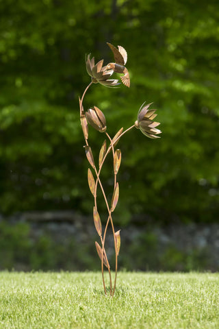  || https://assets.gardeners.com/transform/450a554e-c263-476d-9acb-b03faab55a5a/8613449_01V